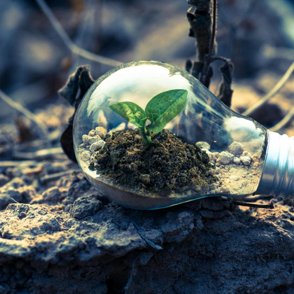 Energy and Environmental